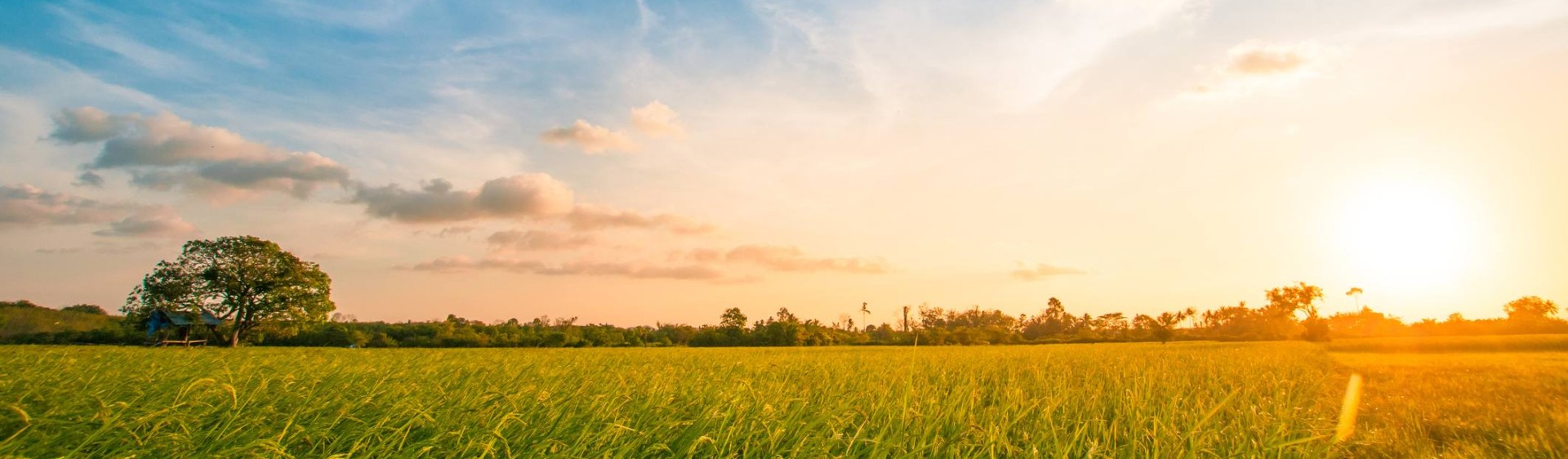 2023 Maryland Eye Associates Team Updates! Maryland Eye Associates